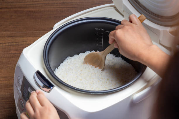 comparatif rice cooker